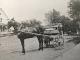 First horse and rig for P.R. Simmons Flour & Feed business